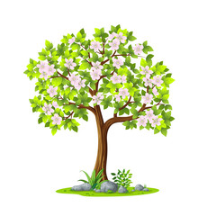Illustration of a tree in spring against white background