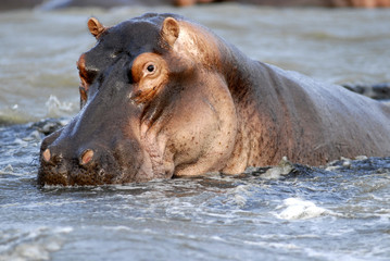 St Lucia Hluhluwe Mfololzi South Africa