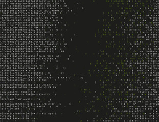 Corrupted source code. Modern vector illustration about computer security. Abstract ascii glitch background. Fatal programming error. Buffer overflow problem. Random signal error. Element of design. - 141586691