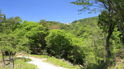 Fototapeta na wymiar 新緑の六甲山