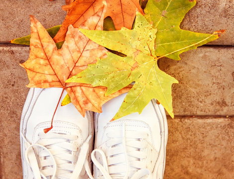 Legs in sneakers against the background of autumn