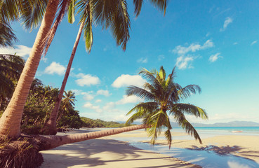 Serenity tropical beach