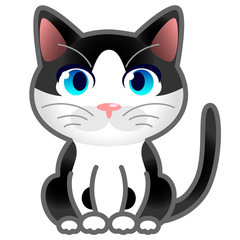 猫　ハチワレ