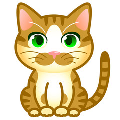 猫　茶トラ白