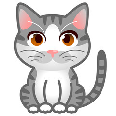 猫　サバトラ白