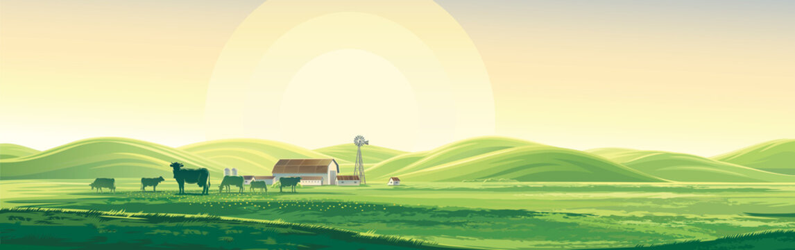Summer rural landscape from cows and farm, dawn above hills, elongated format.