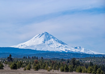 Mt. Hood from Pleasant Ridge 