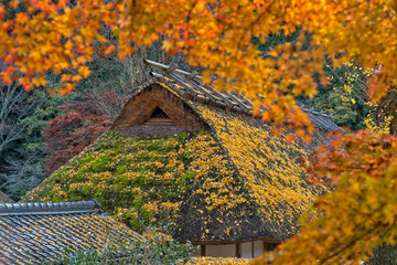 Old traditional Japanese house at Korankei village, Nagoya, Japan.