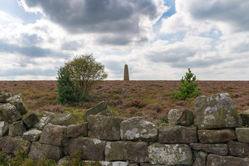 Captain Cook's Monument, near Great Ayton, North York Moors, North Yorkshire, UK