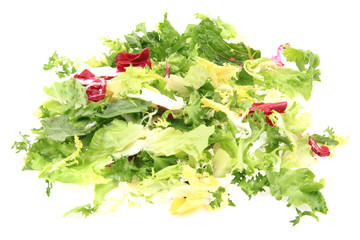 fresh color lettuce