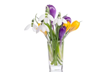 Stof per meter Krokussen bouquet from crocus  and snowdrops on white background