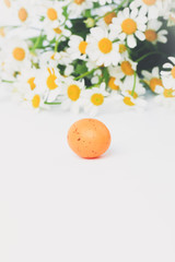 Naklejka na ściany i meble Spring composition daisies easter egg