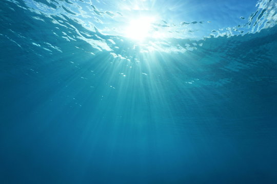 Pacific ocean underwater sunlight through water surface, natural scene, French Polynesia
