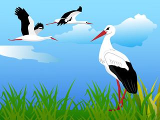 Vector summer landscape with storks