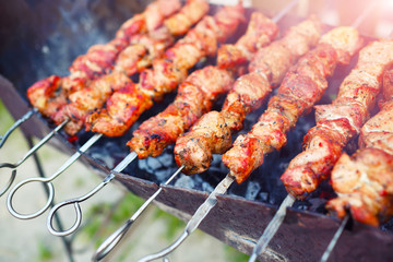appetizing pieces of roasted meat on the fire