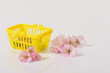 かごと桜