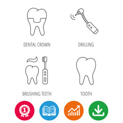 Brushing teeth, tooth and dental crown icons. Drilling tool linear sign. Award medal, growth chart and opened book web icons. Download arrow. Vector