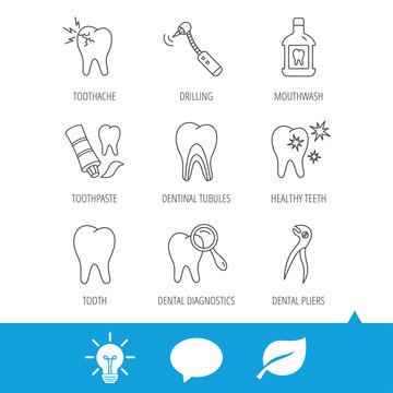 Tooth, stomatology and toothache icons. Mouthwash, dental pliers and diagnostics linear signs. Dentinal tubules, drilling icons. Light bulb, speech bubble and leaf web icons. Vector