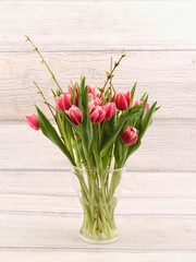 Tulips in vase