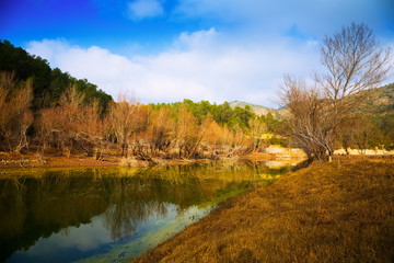Fototapeta premium Mountains river in autumn. Muga, Pyrenees