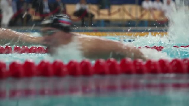Swimming competition style of butterfly male Low angle view beside