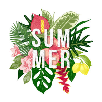 Summer background with tropical plants and flowers