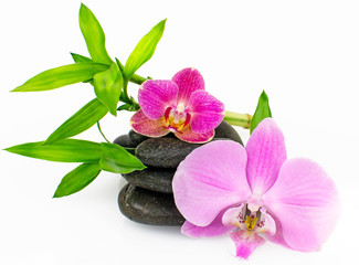 Wellness: Orchids, stones and bamboo :)