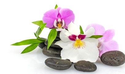 Fototapeta na wymiar Wellness: Orchids, stones and bamboo :)