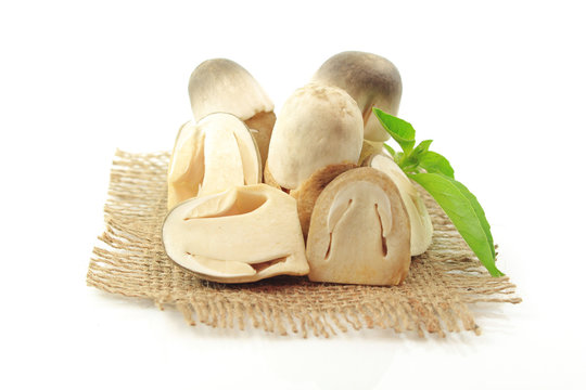 Premium Photo  Straw mushroom on white wall.