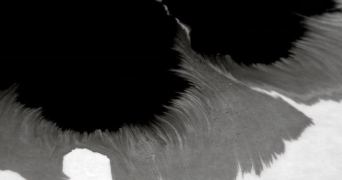 Beautiful ink spill on white paper. Amazing ink bleed