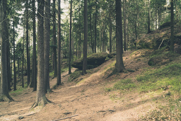 Góry Stołowe, Poland