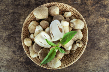 Sliced straw mushroom isolated on white background