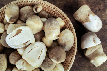 Sliced straw mushroom isolated on white background