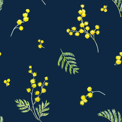Fototapeta na wymiar Watercolor mimosa vector pattern