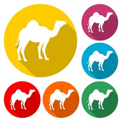 Camel black silhouette vector - Illustration