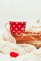 Cozy home still life: cup of hot coffee and books with warm plaid. Free copy space