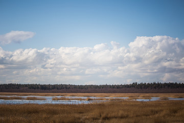 A beautiful early spring landscape with a lake