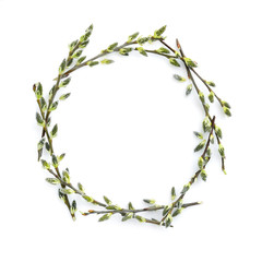 Pussy-willow branches circle frame. Decorative wreath on white background perfect for easter card or invitation.