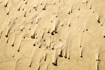 Fototapeta na wymiar Stones on a Beach during Storm