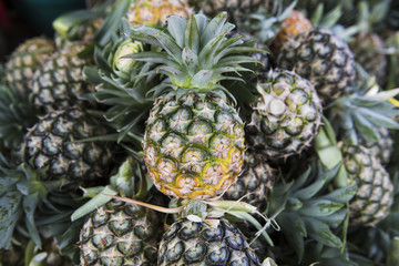 Pineapple thai