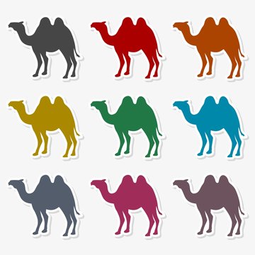 Camel silhouette vector icon - Illustration