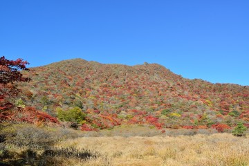 大船山登山（大船山と紅葉）