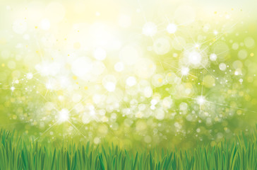 Obraz premium Vector green grass bokeh nature background.