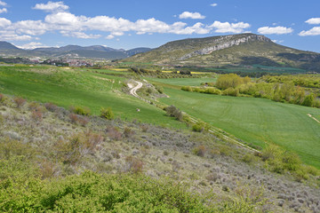 Fototapeta na wymiar Spring view of the Spanish region Navarra