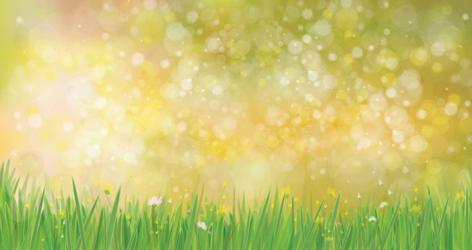 Vector  nature  background.