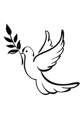 Dove