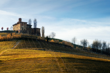 Fototapeta na wymiar Castello della Volta, medieval castle in the vineyards of Langhe, near Barolo (Piedmont, Italy)
