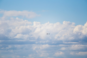 A beautiful  three geese flying on the blue sky and cloud background