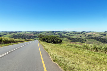 Asphalt Country Road Running Through Sugar Cane Fields