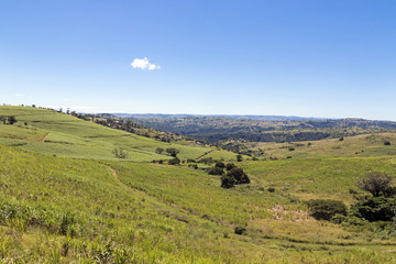 Sugar Cane Fields and Housing Against Rural Landscape Skyline